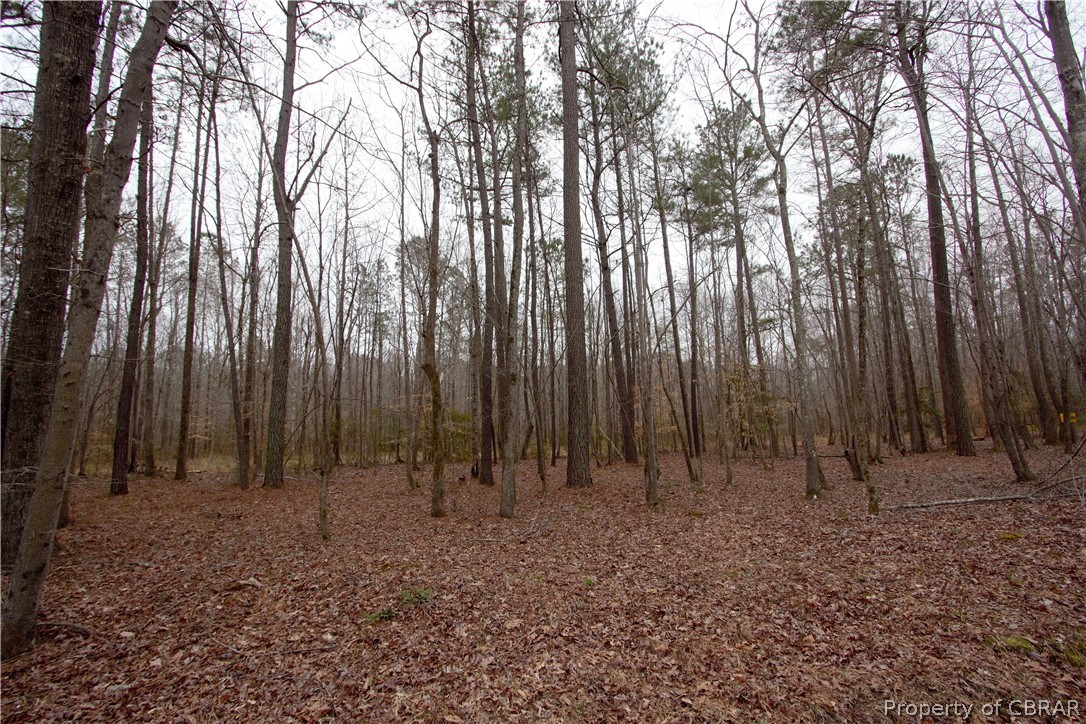 0 Plantation Road Gloucester, VA 23061 - Photo 5 of 5 Gallery Image 5