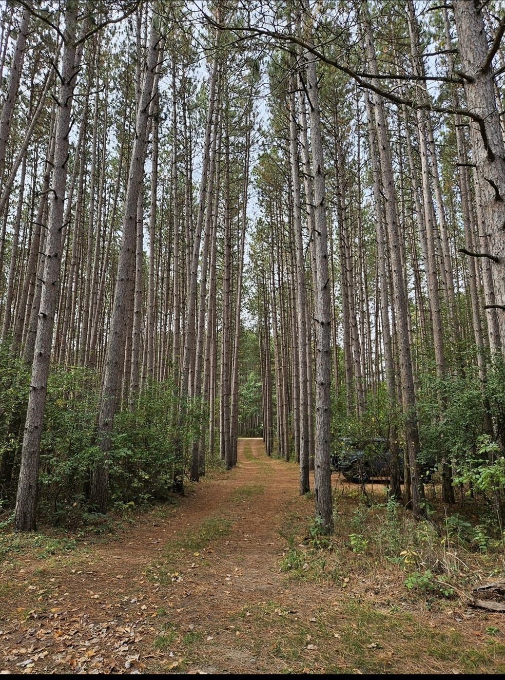 3118 2nd Oxford, WI 53952 - Photo 18 of 18