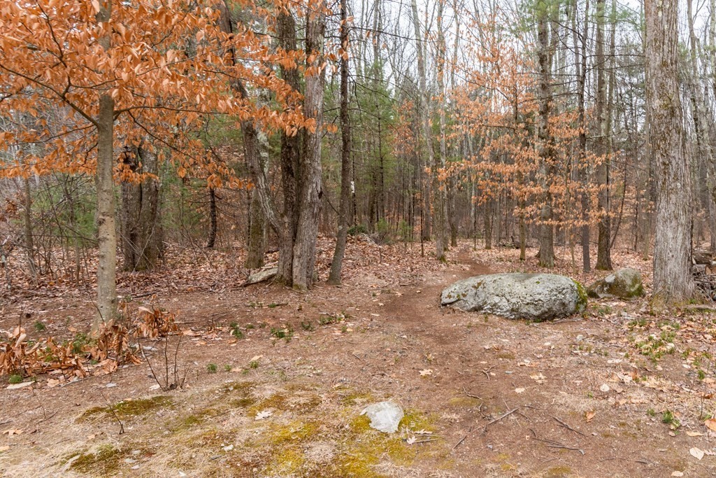 188 South Road Pepperell, MA 01463 - Photo 36 of 41 a view of outdoor space with trees
