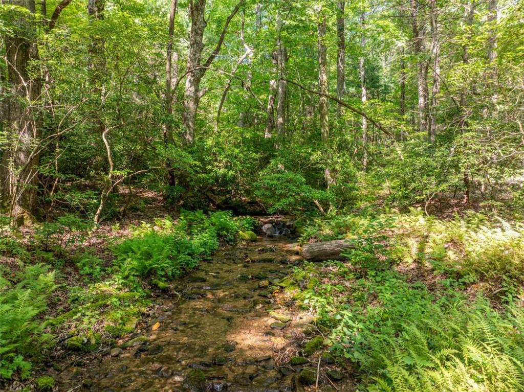 1298 Cold Stream Trail Jasper, GA 30143 - Photo 11 of 57