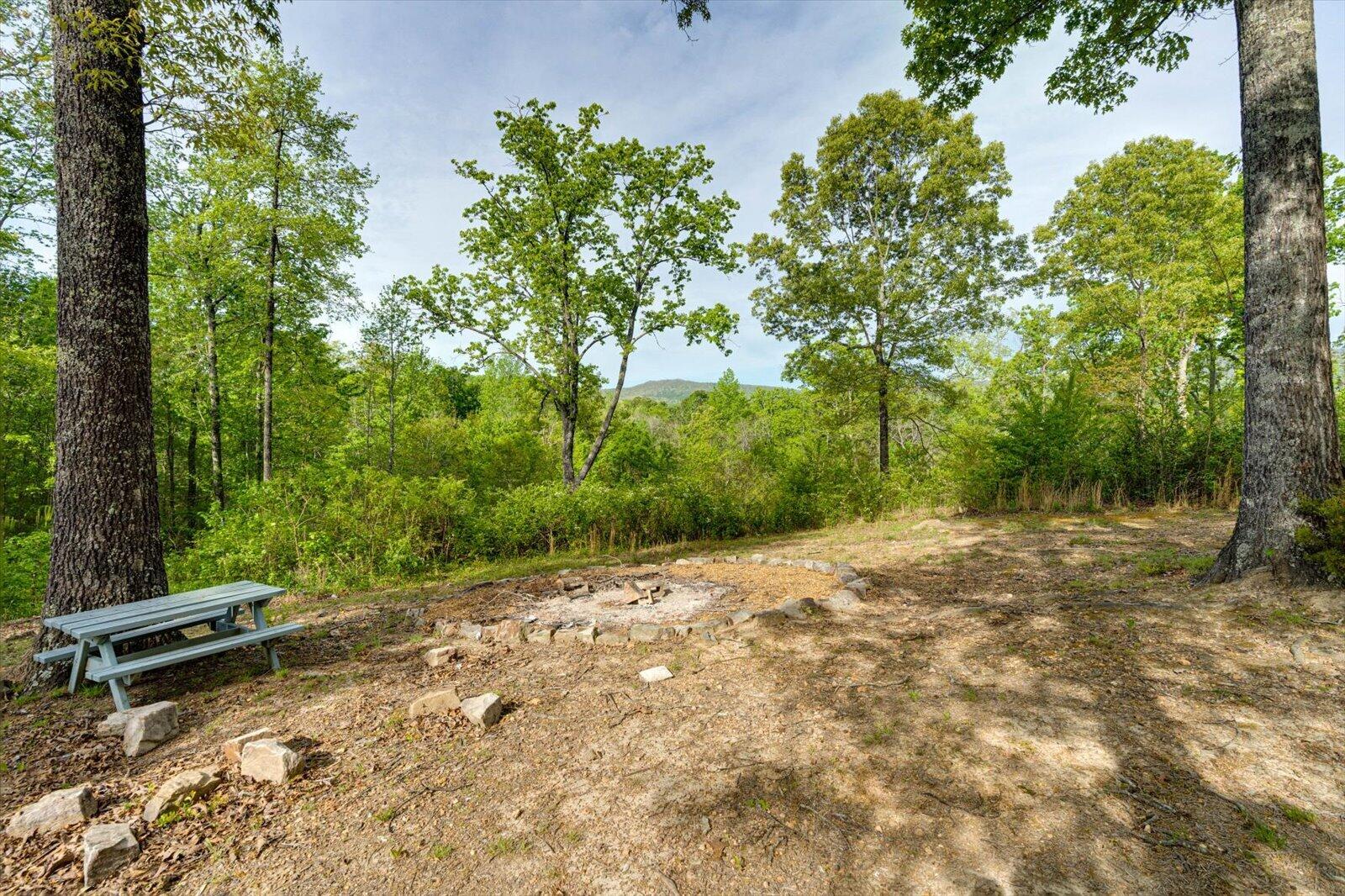 4156 North Marble Top Road Chickamauga, GA 30707 - Photo 39 of 50 39-4156 N Marble Top-39