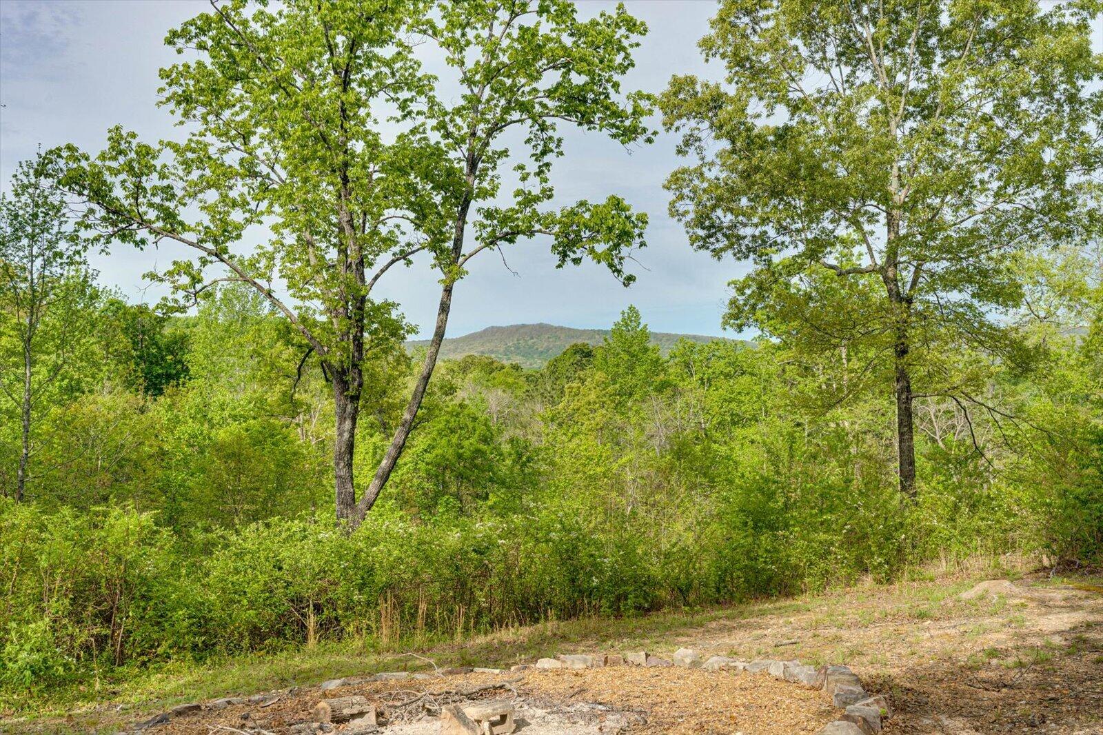 4156 North Marble Top Road Chickamauga, GA 30707 - Photo 40 of 50 40-4156 N Marble Top-40