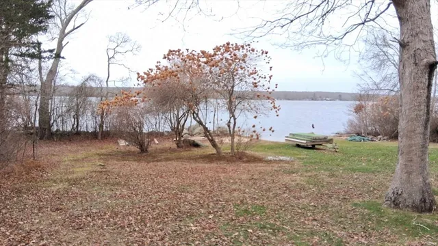 a view of an ocean with a tree