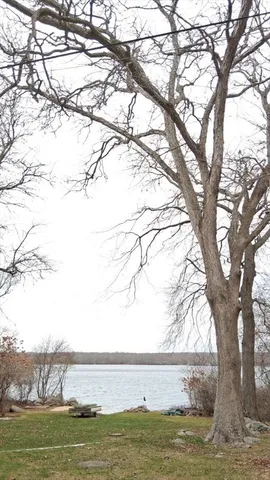 a house view with a backyard space