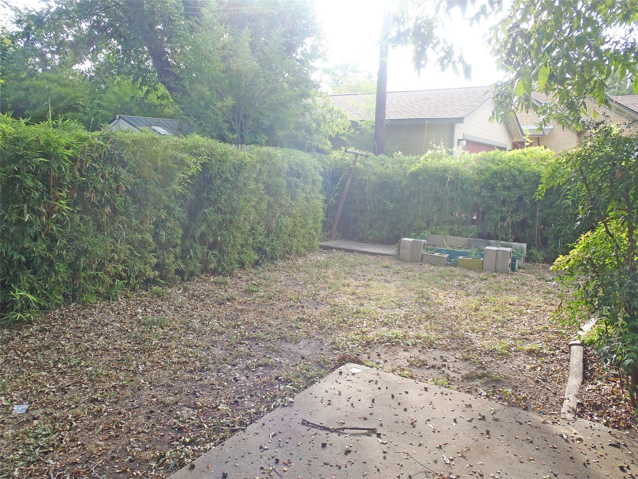 2801 Lafayette Avenue, Unit B Austin, TX 78722 - Photo 12 of 13 View of yard featuring a patio area