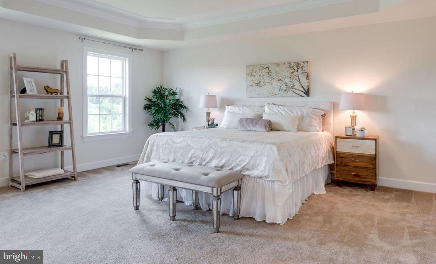 7516 Tangerine Place Lorton, VA 22079 - Photo 19 of 38 Tray Ceiling in Master Bedroom