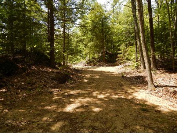 Lot #3 S Road Newbury, NH 03255 - Photo 1 of 6 Gallery Image 1