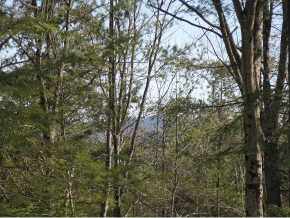 Lot #3 S Road Newbury, NH 03255 - Photo 2 of 6 Gallery Image 2