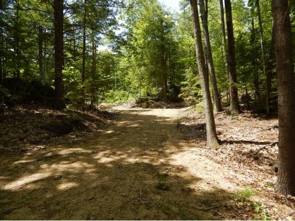 Lot #3 S Road Newbury, NH 03255 - Photo 4 of 6 Gallery Image 4