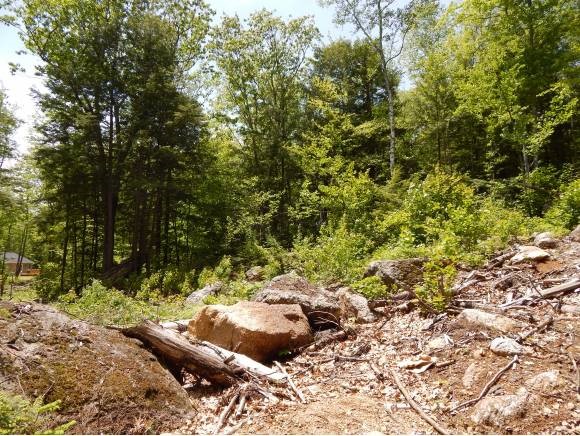 Lot #3 S Road Newbury, NH 03255 - Photo 5 of 6 Gallery Image 5