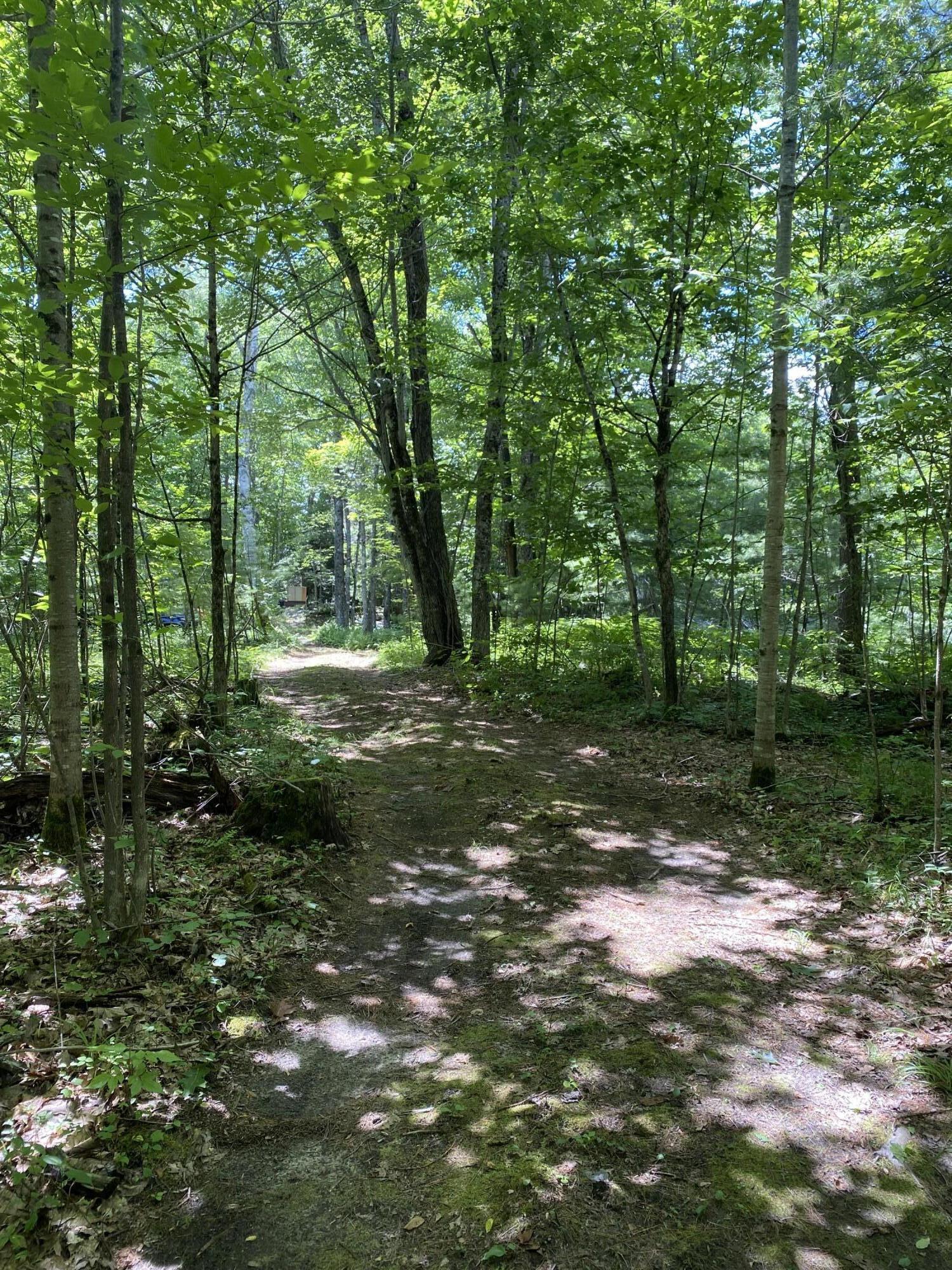 0 Poppy Lane Carthage, ME 04224 - Photo 13 of 22 IMG_0449