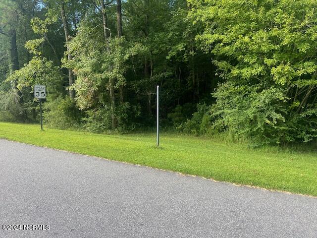 0 Inman Lake Road Whiteville, NC 28472 - Photo 4 of 7 IMG_2320