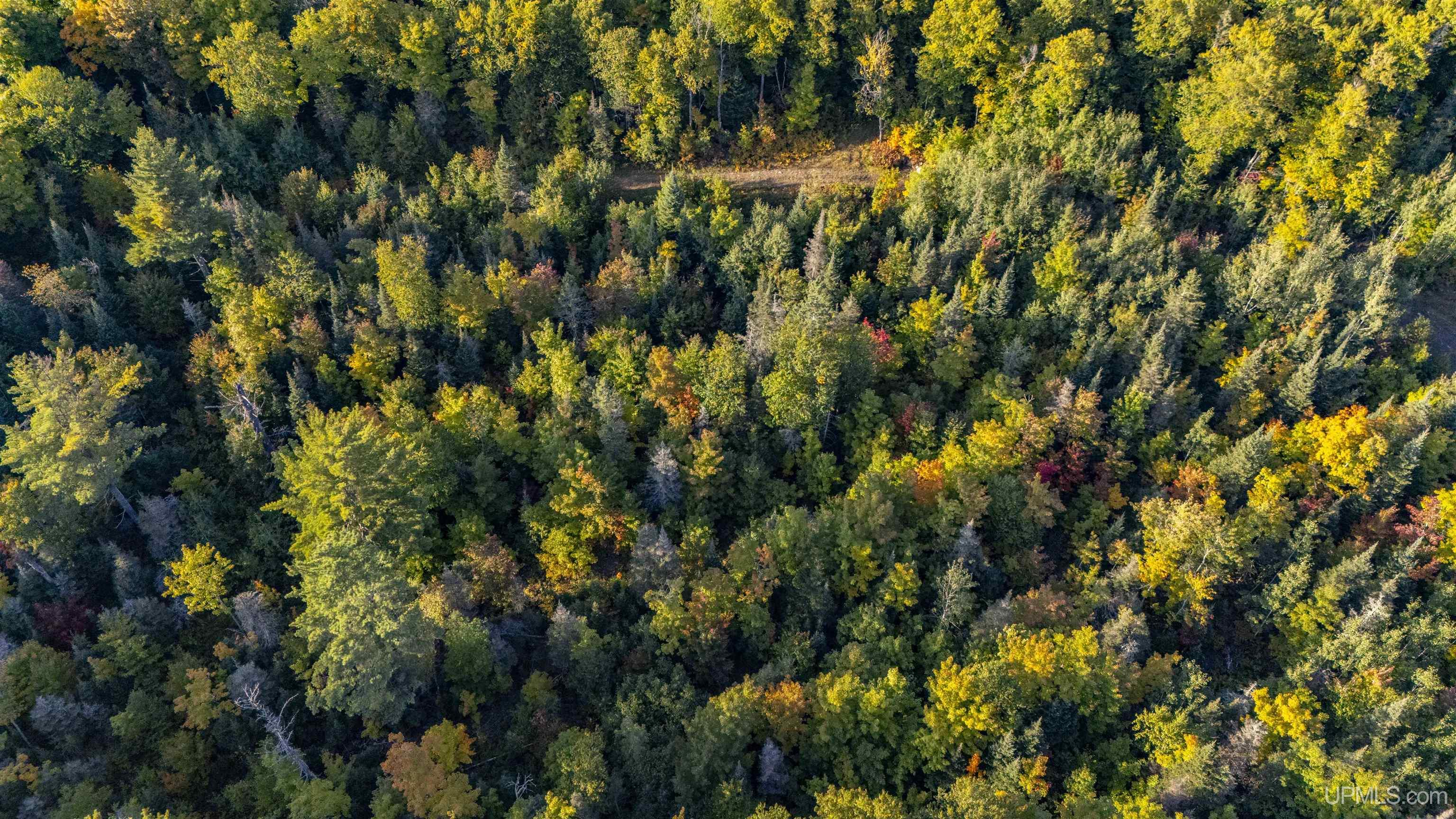 Tbd Luke Road Amasa, MI 49903 - Photo 48 of 64
