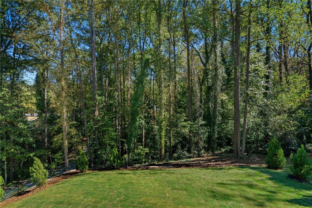 1185 Houston Mill Road Northeast Atlanta, GA 30329 - Photo 88 of 92 a view of outdoor space and yard