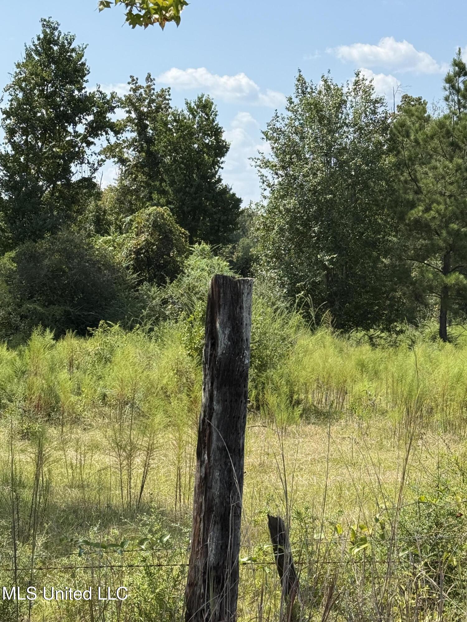Alex Road Gloster, MS 39638 - Photo 2 of 7 IMG_7239