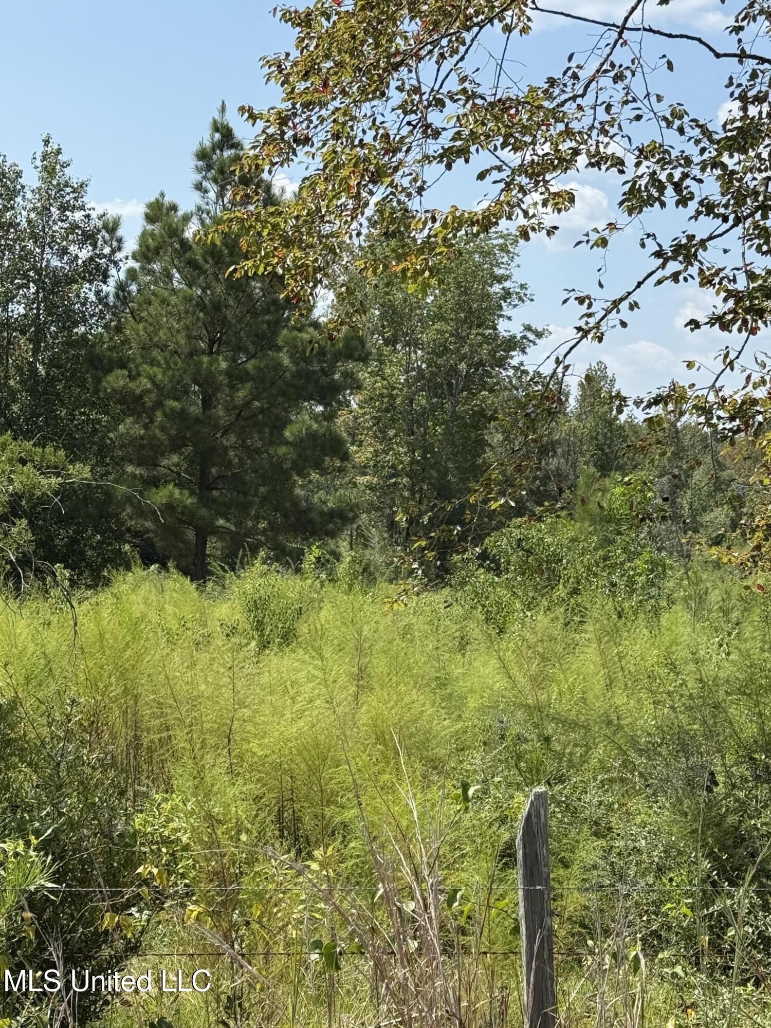 Alex Road Gloster, MS 39638 - Photo 3 of 7 IMG_7240