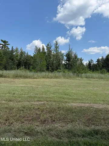 $35,000 | Alex Road, Gloster, MS 39638