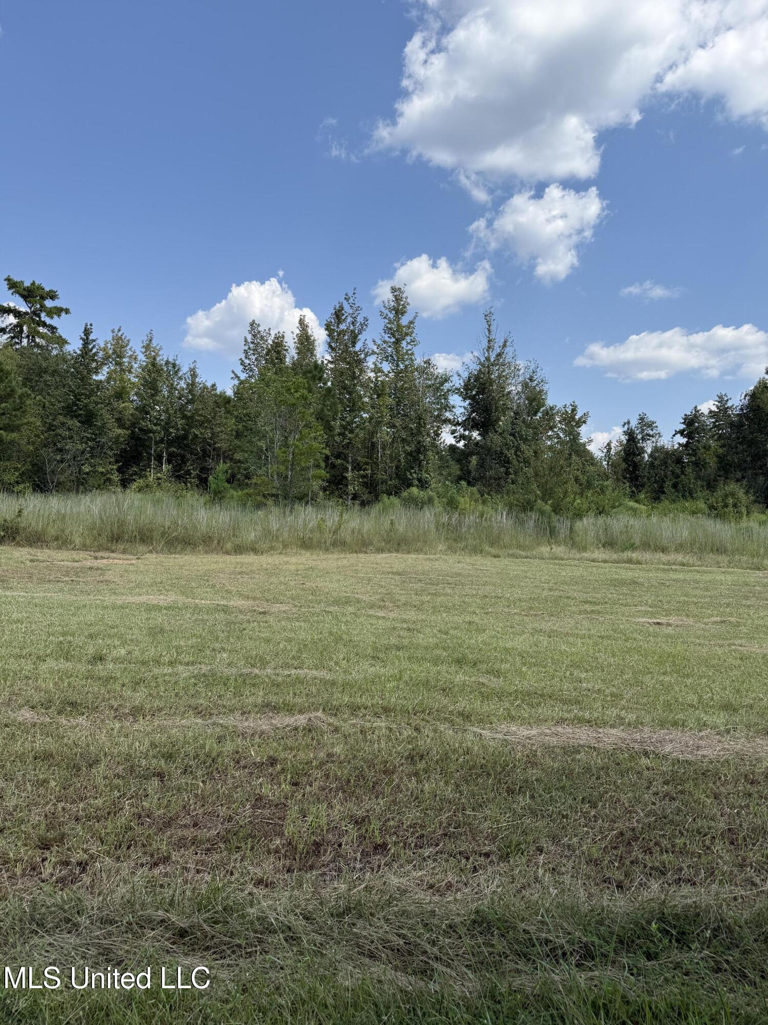 Alex Road Gloster, MS 39638 - Photo 5 of 7 IMG_7242