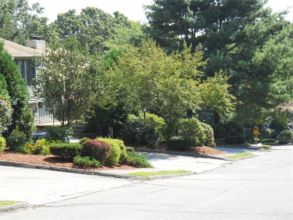 80 Londonderry Road, Unit 80 Grafton, MA 01519 - Photo 23 of 25 Gallery Image 23