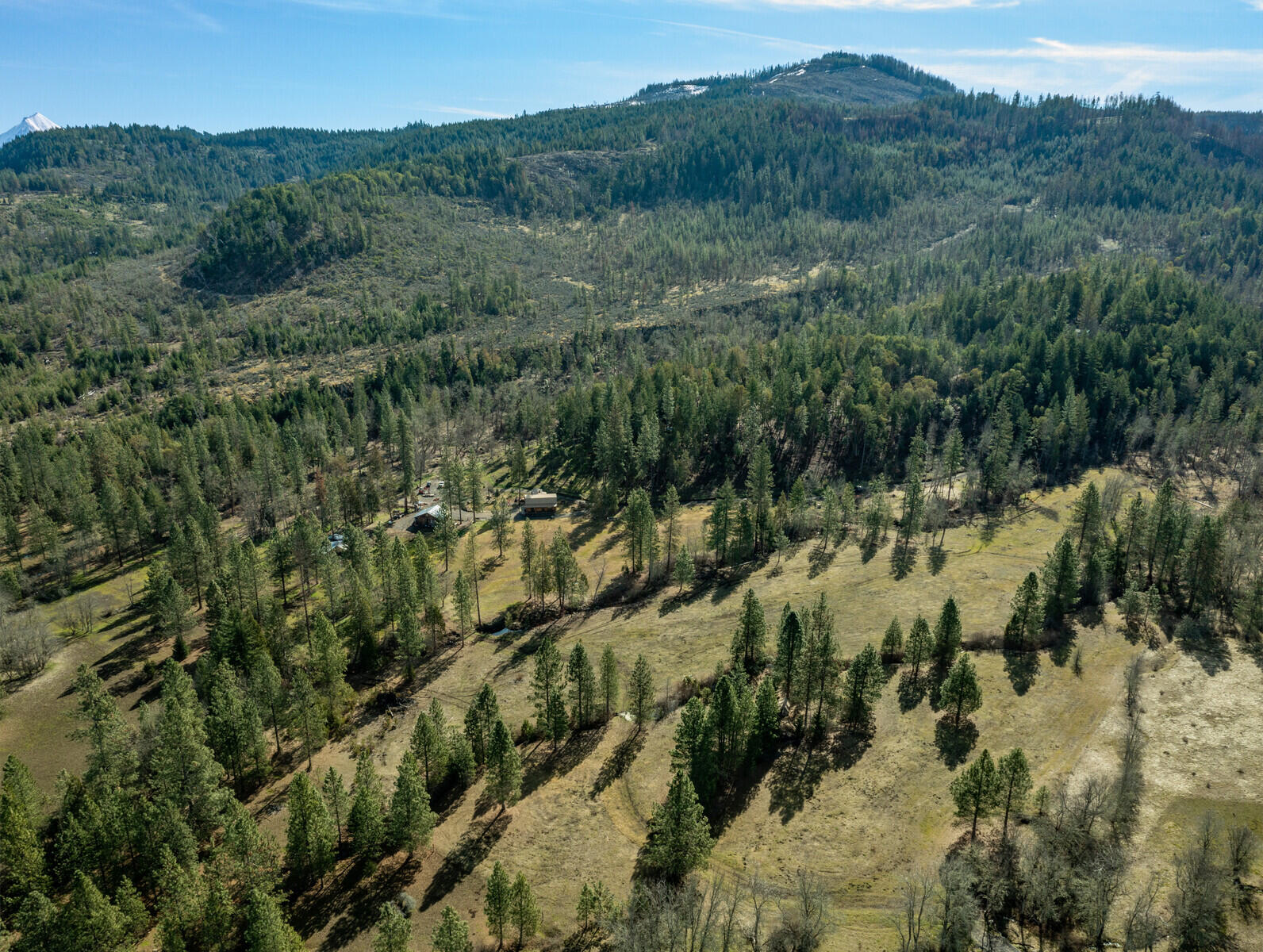 1501 North Obenchain Road Eagle Point, OR 97524 - Photo 16 of 68 a view of a forest with a forest