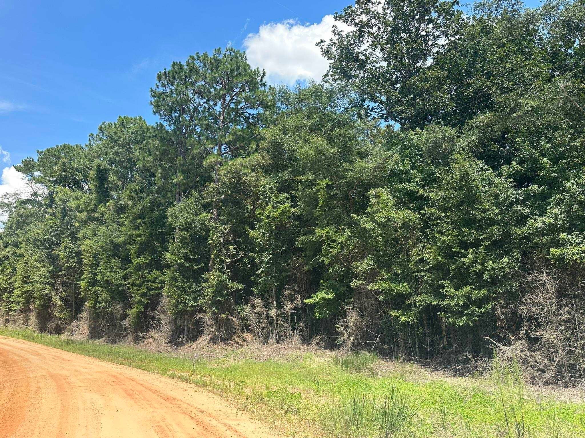 0 Piney Grove Road Opp, AL 36467 - Photo 3 of 20 Gallery Image 3