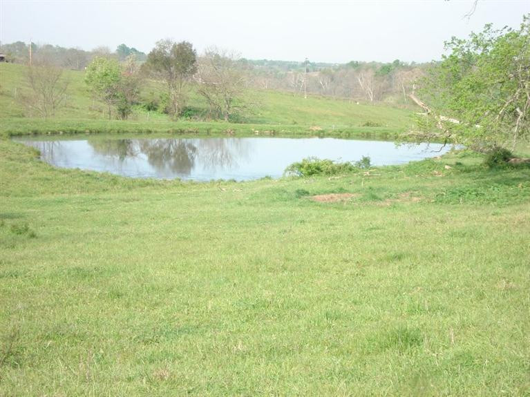 1 Robinson Road Cynthiana, KY 41031 - Photo 1 of 3 Photo 1