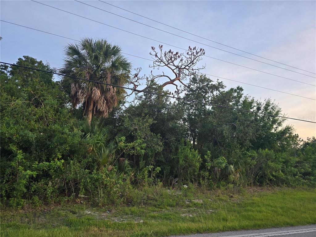 6721 Riverside Drive Punta Gorda, FL 33982 - Photo 4 of 5