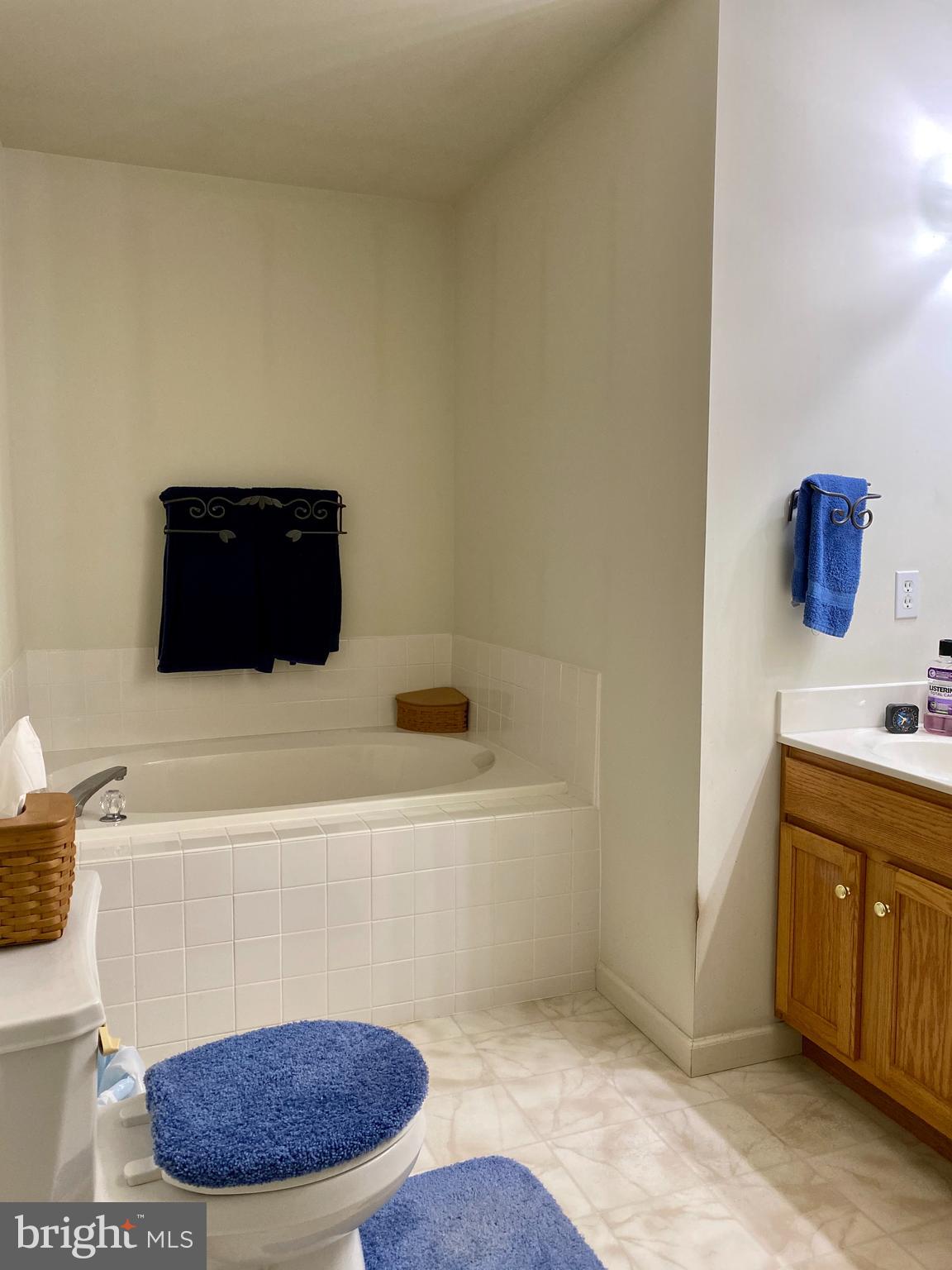 159 Election Road Oxford, PA 19363 - Photo 19 of 35 Master Bath Soaking Tub