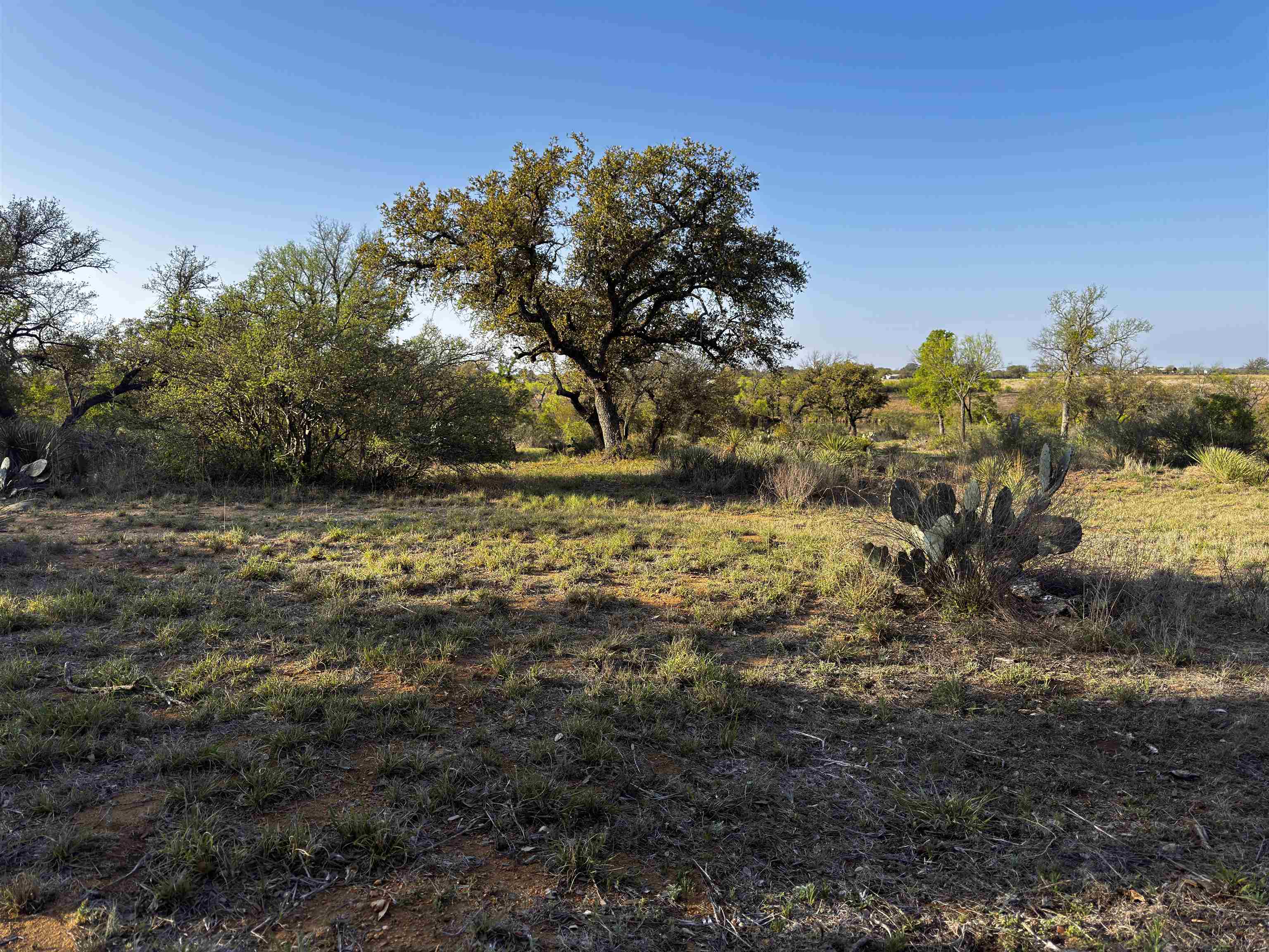 4064 County Road 104 Llano, TX 78643 - Photo 11 of 15