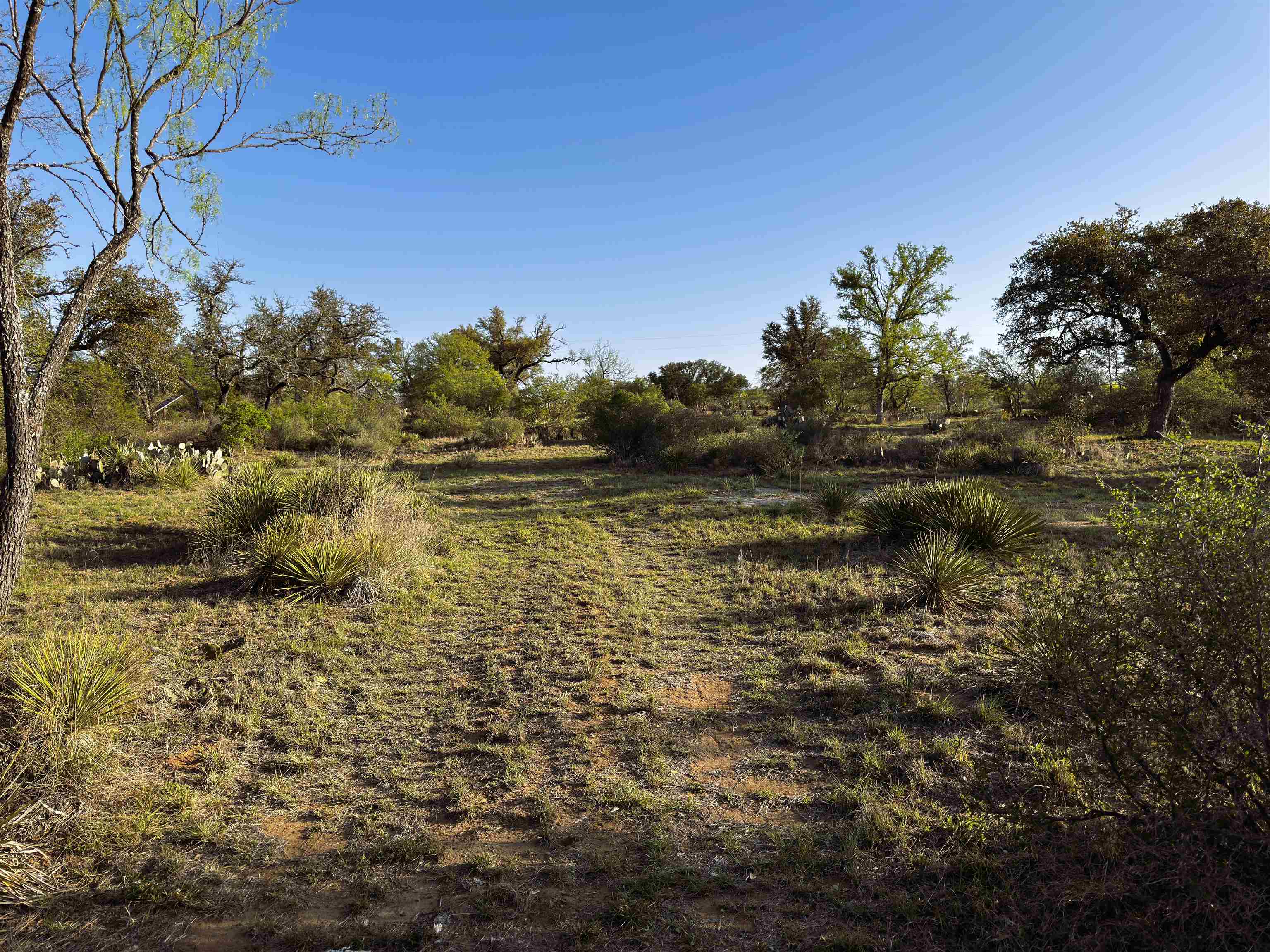 4064 County Road 104 Llano, TX 78643 - Photo 13 of 15