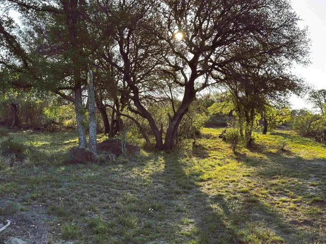 $399,000 | 4064 County Road 104, Llano, TX 78643