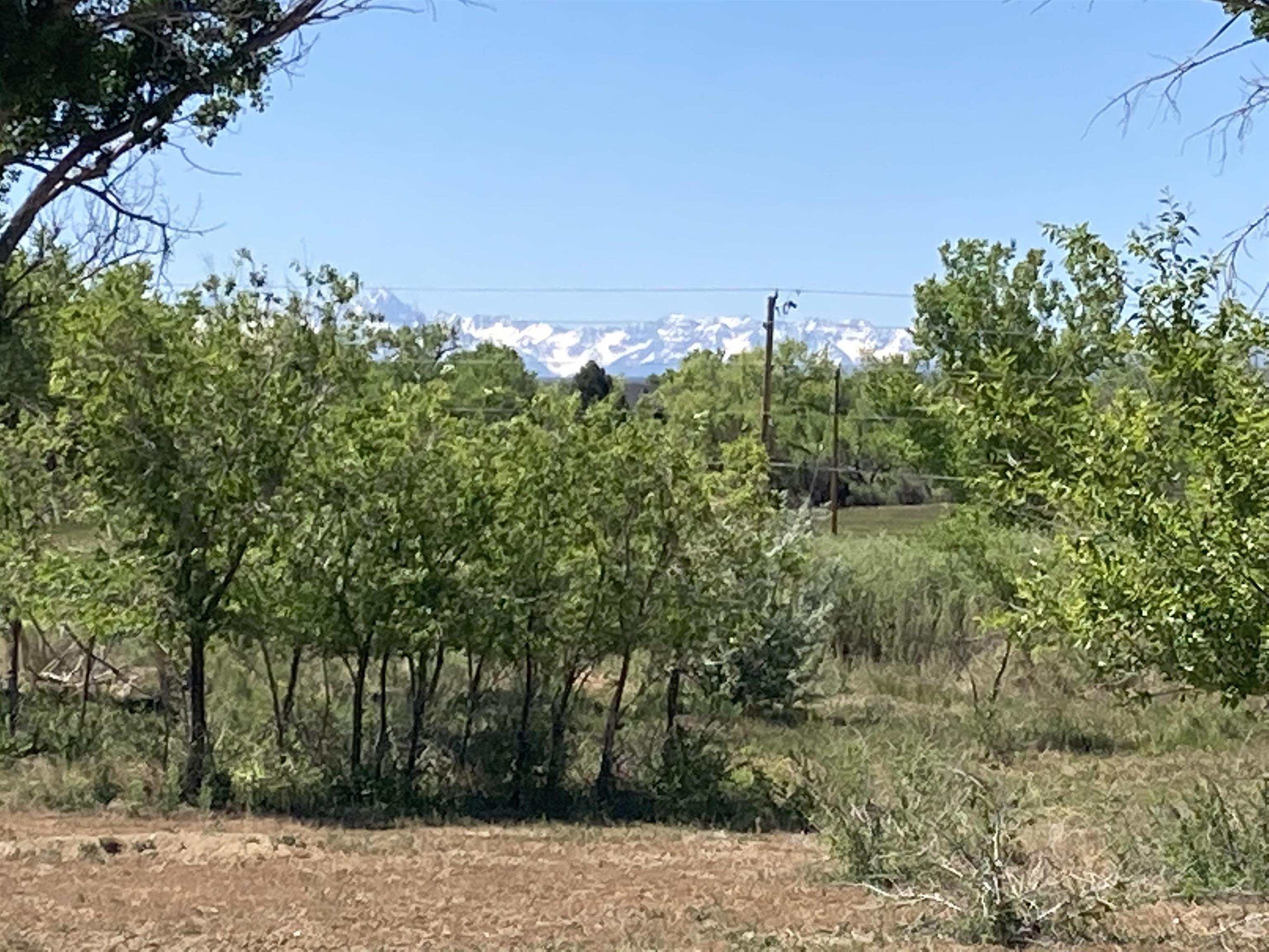 59215 Spring Creek Road Montrose, CO 81403 - Photo 1 of 5 Gallery Image 1