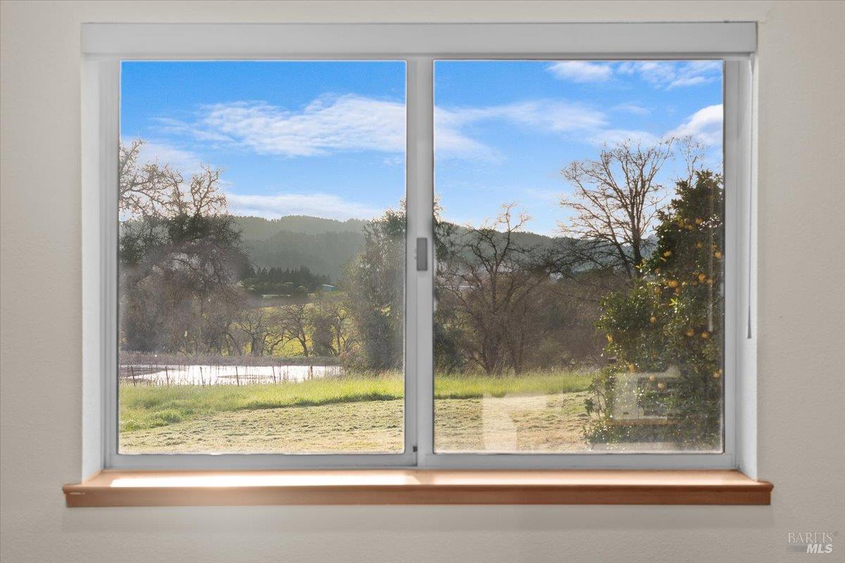 910-920 Lytton Springs Road Healdsburg, CA 95448 - Photo 32 of 59 From bedroom 2, the wildlife activity as it becomes a playground in the acre pond is hugely distracting, in the best of ways