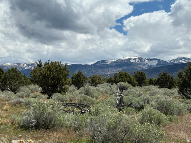 18 Old Highway 89, Unit 18 Spring City, UT 84662 - Photo 5 of 9