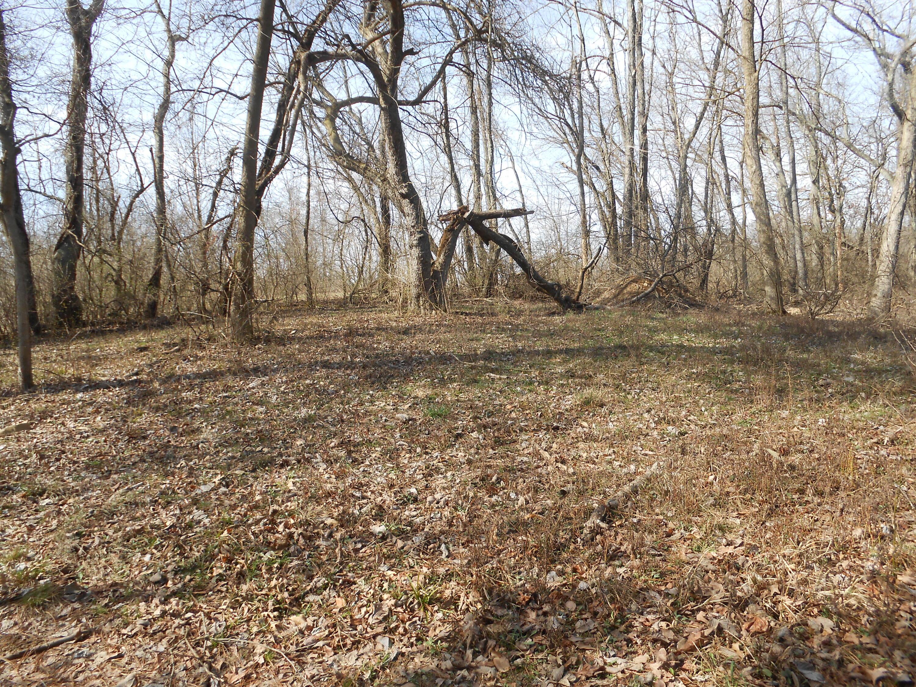 6570 Lancaster Road Hebron, OH 43025 - Photo 17 of 25 DSCN9855