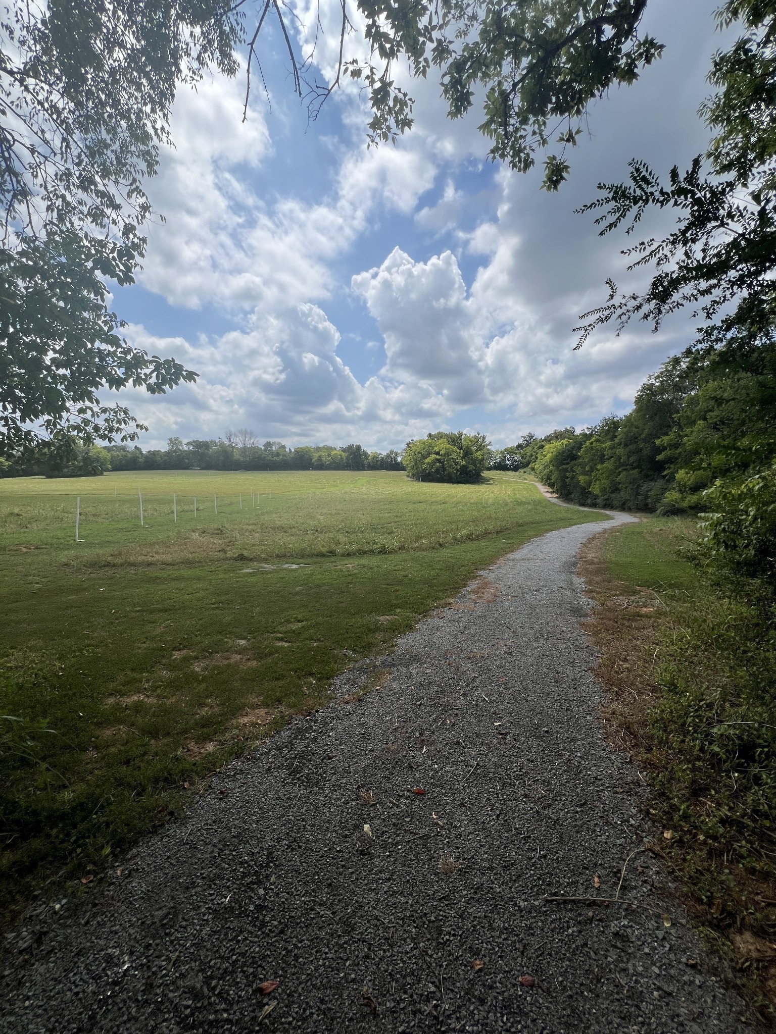 206 Acmon Blue Road Mount Juliet, TN 37122 - Photo 55 of 72 Gallery Image 55