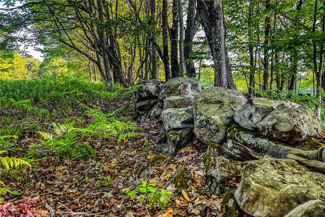 19-22 25 Frank Slawson Road Oneonta, NY 13820 - Photo 9 of 30