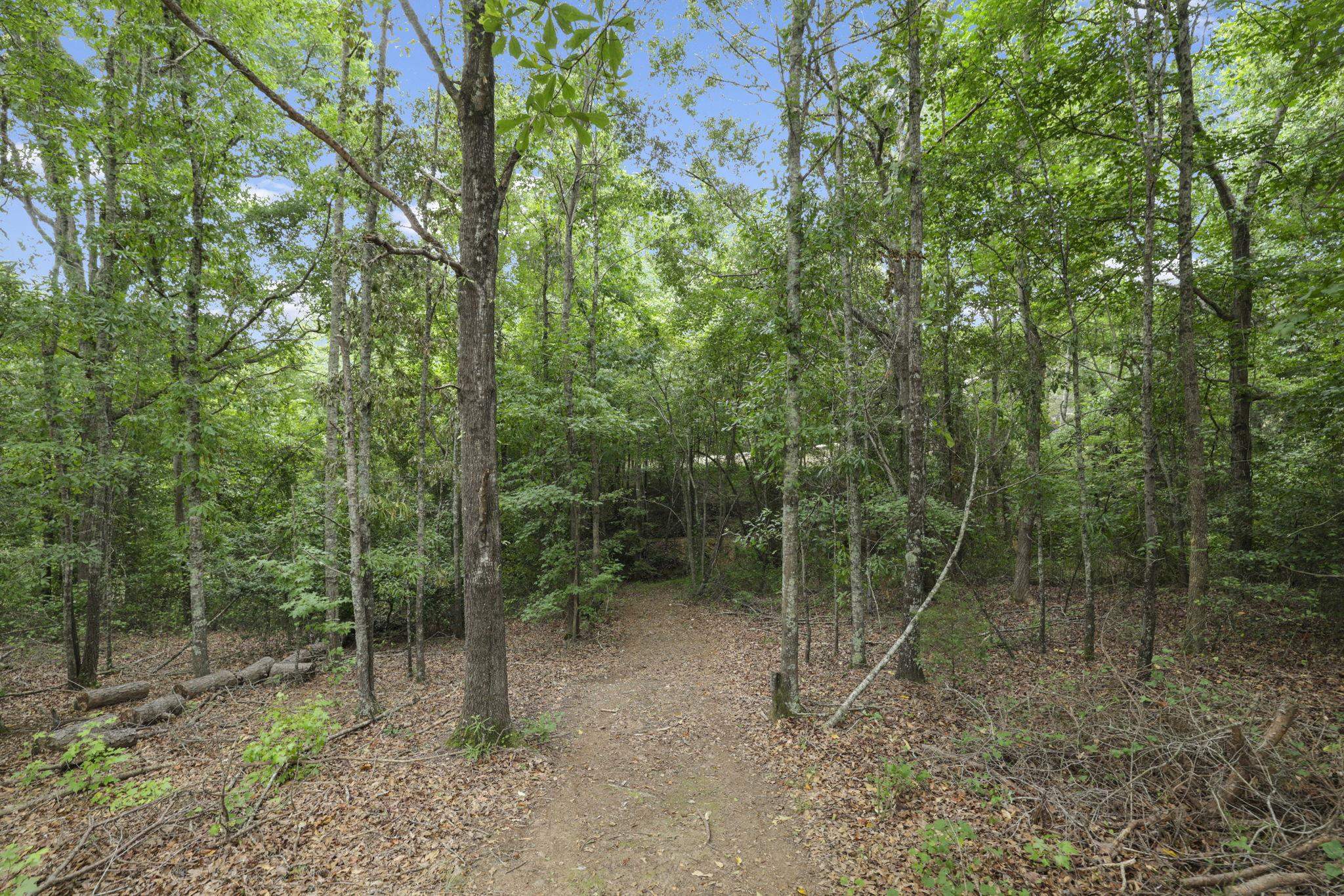 195 Mccraw Trail Gaffney, SC 29341 - Photo 34 of 42