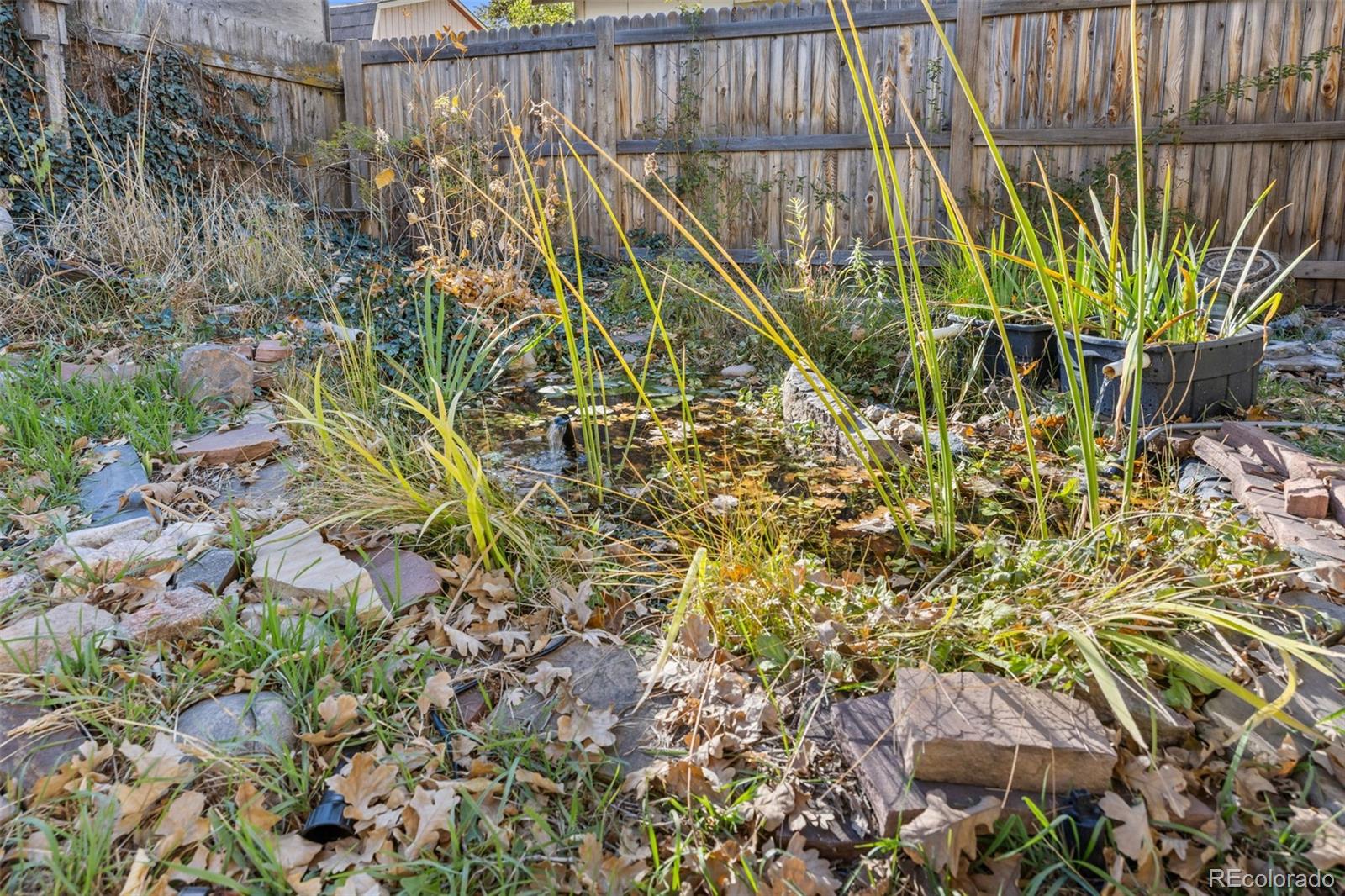 6910 Reno Drive Arvada, CO 80002 - Photo 27 of 28