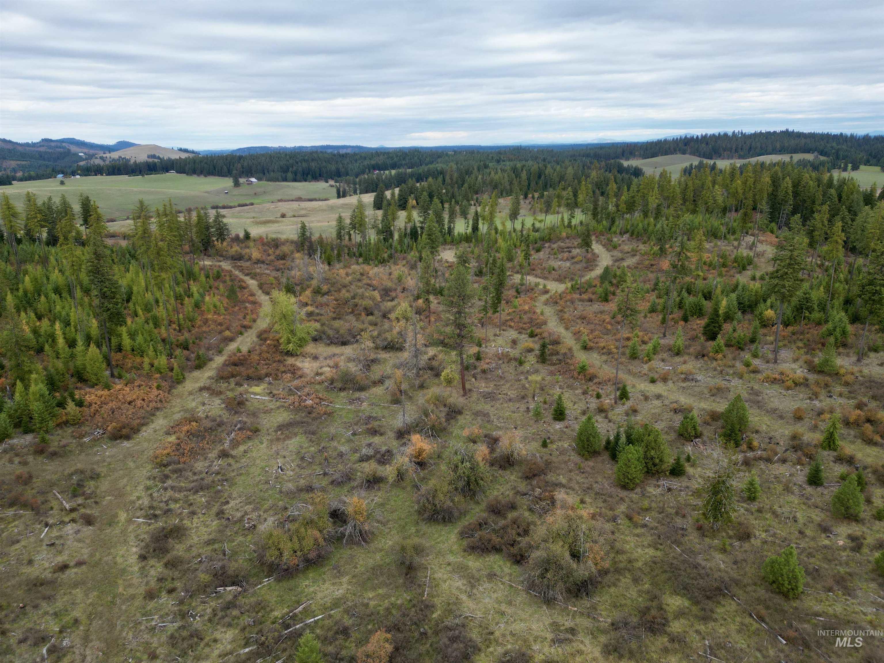 3 Peaceful Valley Road Kamiah, ID 83536 - Photo 1 of 8