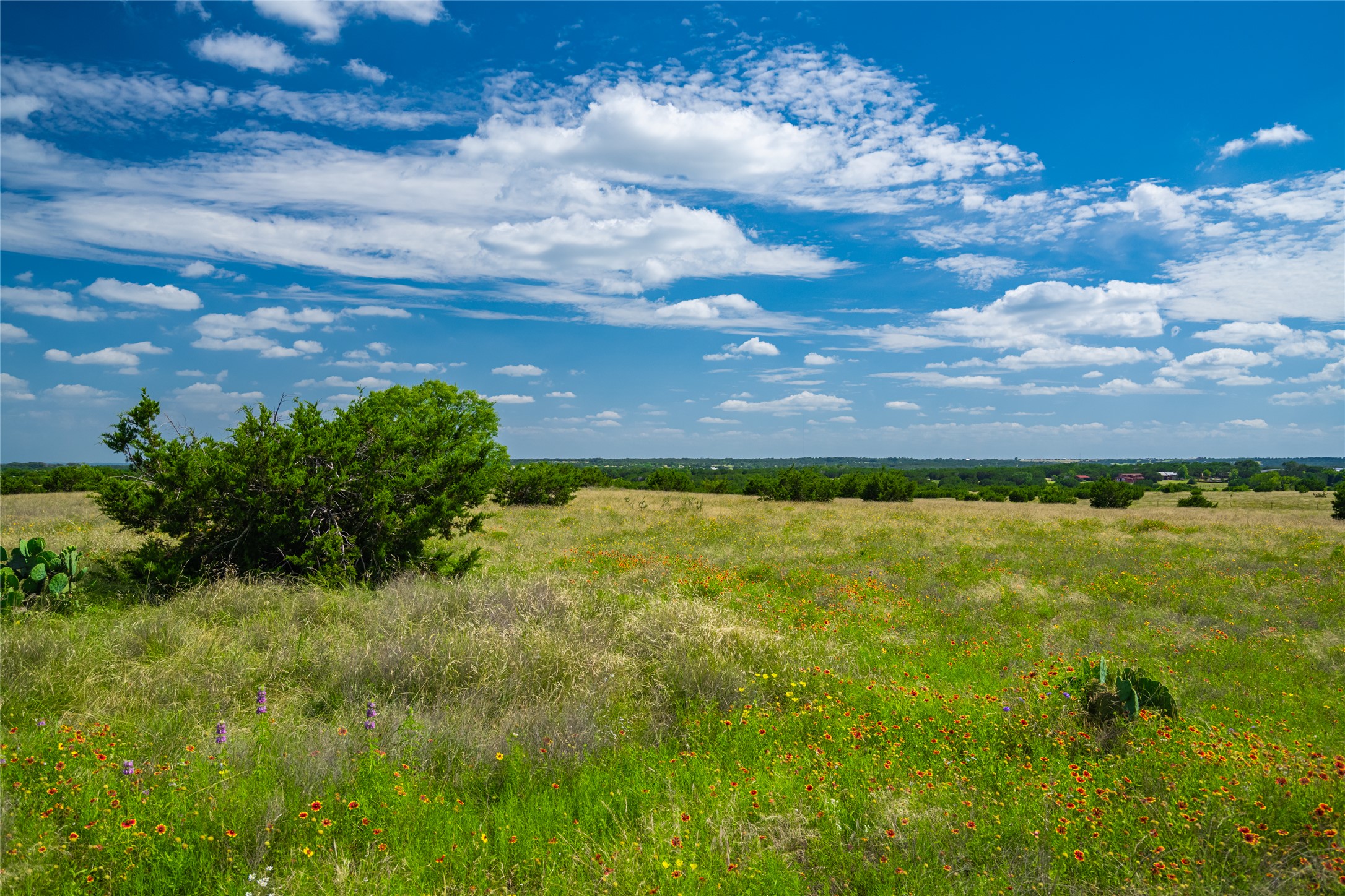 9750 Rm-243 Bertram, TX 78605 - Photo 9 of 18