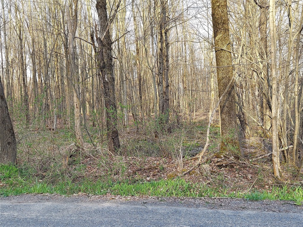 204 Parks Road Greene, NY 13746 - Photo 6 of 9