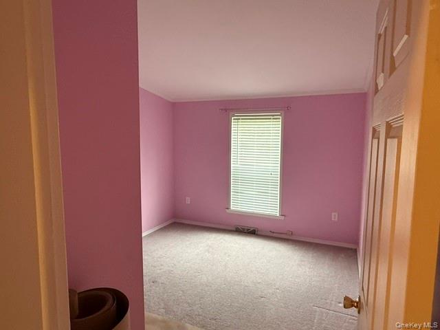 4 Delray Circle Poughkeepsie, NY 12603 - Photo 10 of 29