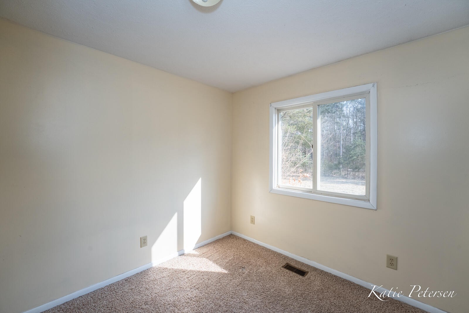 3501 15 Mile Road Northeast Cedar Springs, MI 49319 - Photo 16 of 34 3501 15 Mile-14