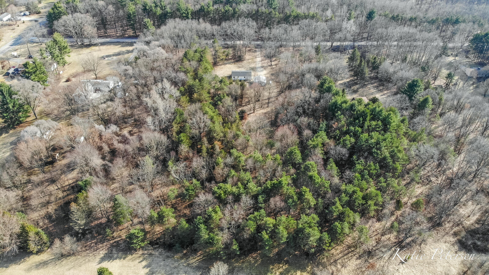 3501 15 Mile Road Northeast Cedar Springs, MI 49319 - Photo 32 of 34 3501 15 Mile-37