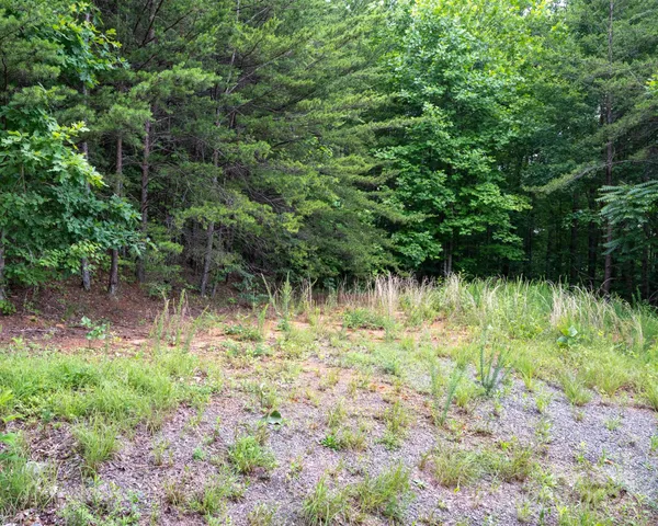 $35,000 | Tbd Chicory Drive, Marion, NC 28752