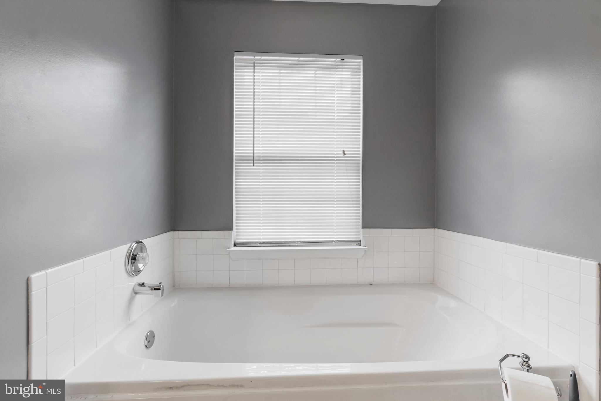 116 Rabbit Chase Drive Laurel, MD 20724 - Photo 6 of 32 Mater bathroom