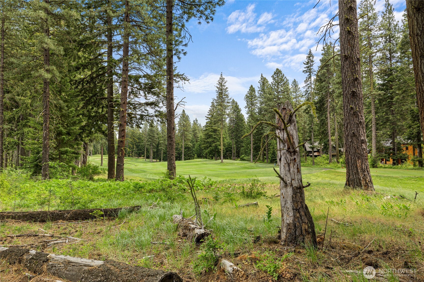 470 Rocking Chair Road Cle Elum, WA 98922 - Photo 16 of 39
