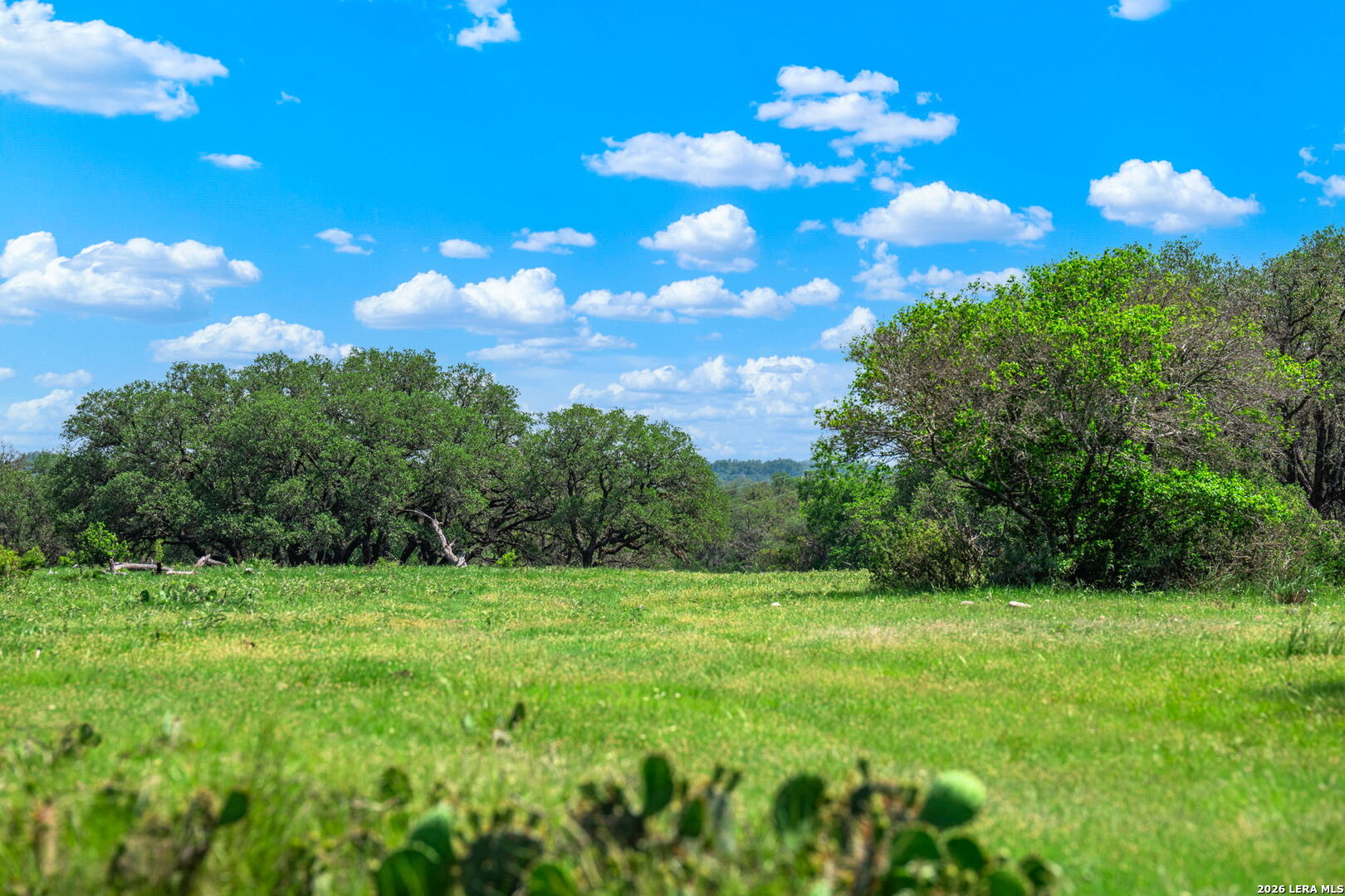 850 SD 24755 Rocksprings, TX 78880 - Photo 18 of 29