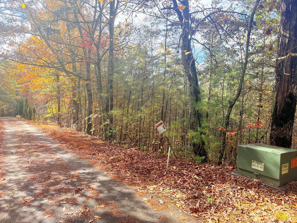 12-4 Cardinal Road Murphy, NC 28906 - Photo 2 of 4